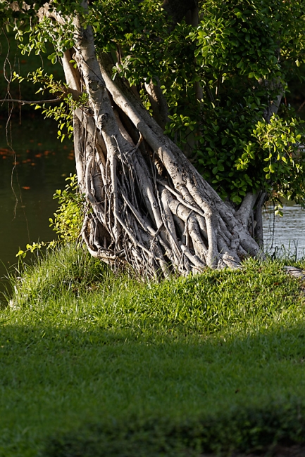 Suan Luang-JUN14-125